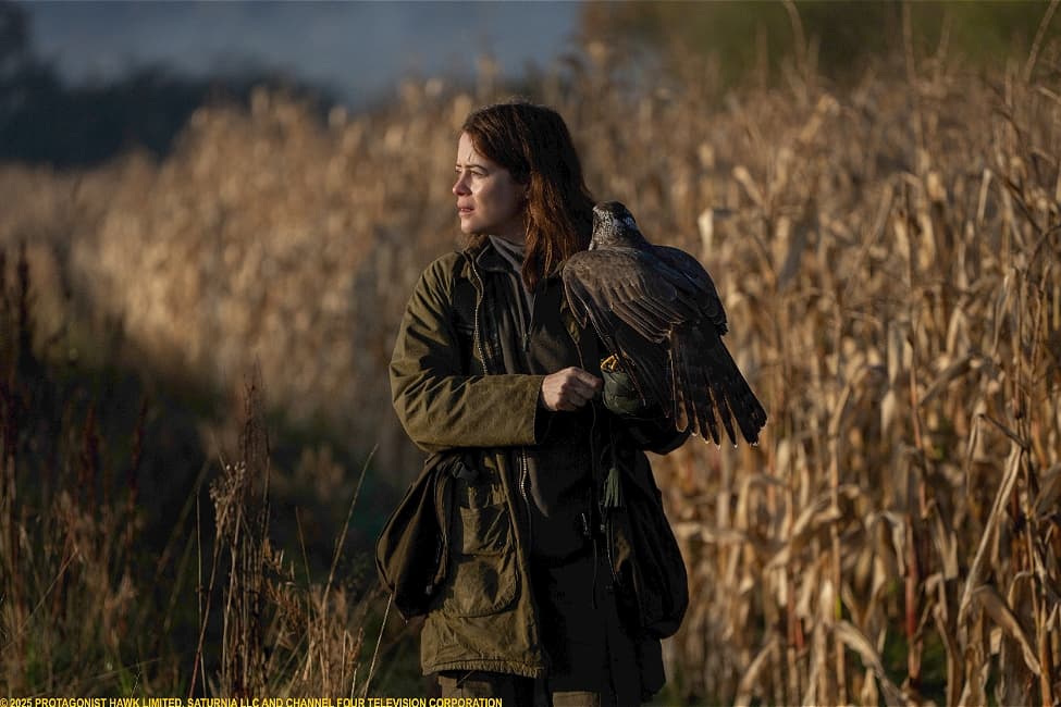 A film about a naturalist who trains her own goshawk is to be shown in ...