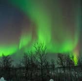 Northern Lights