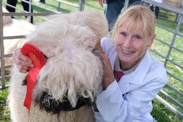Sarah Watson with her nine month old Swiss Valais Blacknose sheep. They won first prize in the ram lamb category and the animal was for sale. Sarah and her family are from Frome Valley, Herefordshire and were also in the best of three category with their ewe lambs.