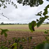 A Protest walk has taken place in Albrighton, where they are fighting a huge housing development.   One of the fields that may become housing.