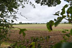 A Protest walk has taken place in Albrighton, where they are fighting a huge housing development.   One of the fields that may become housing.