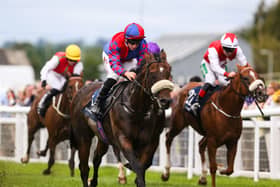 Coul Angel could turn out again quickly in the Ayr Gold Cup