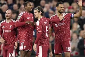 Cody Gakpo celebrates with team-mates after scoring