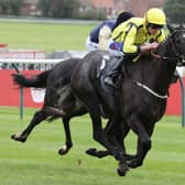 Beautiful Diamond winning at Ayr last year