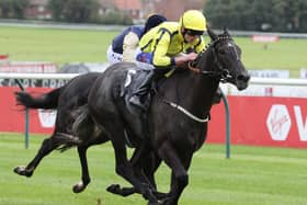 Beautiful Diamond winning at Ayr last year