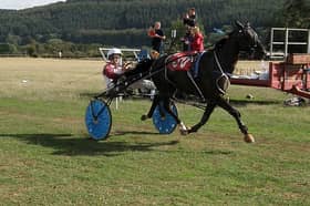 Fold Megastar raced to two victories