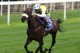 Arapaho Gold on his way to winning the Gimcrack Stakes at York
