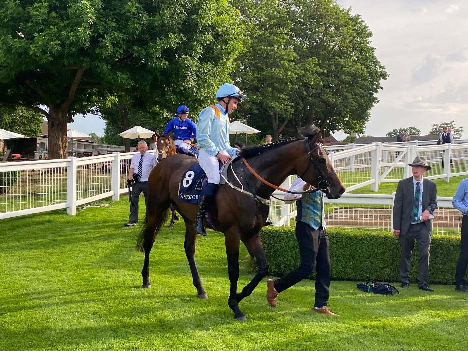 Dual Derby-placed Lazy Griff euthanised following injury