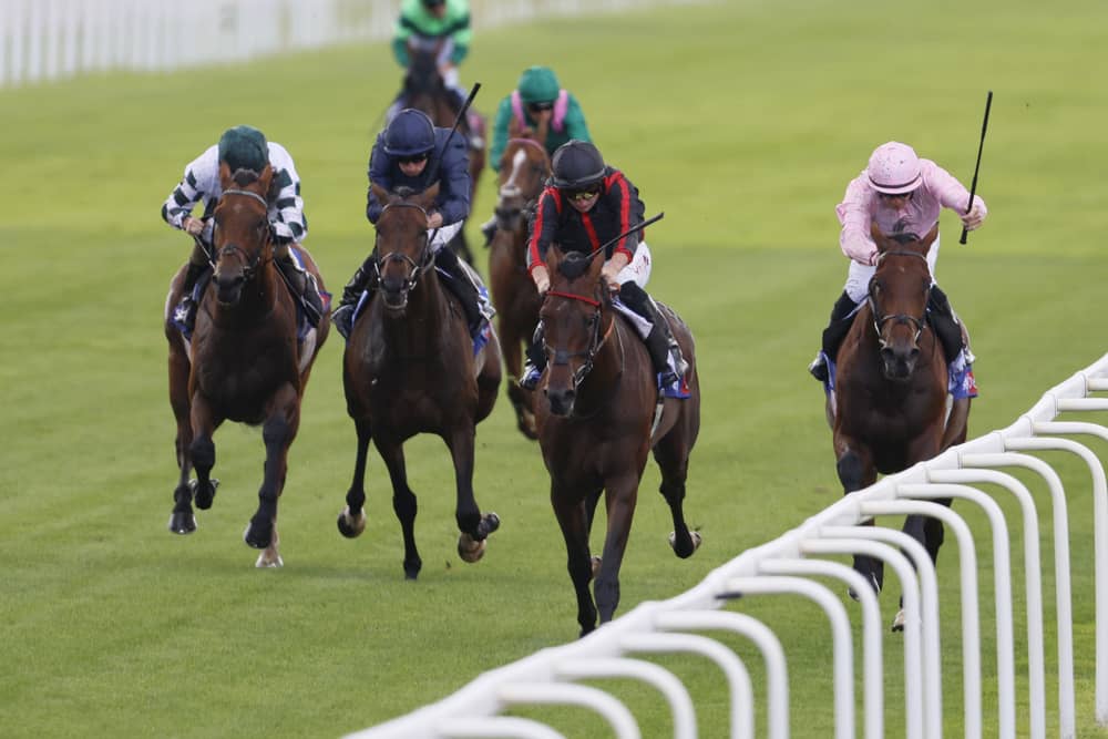 Maltese Cross is in rude health ahead of the Arc