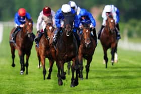 Talk Of New York is one of Charlie Appleby's key players at Newmarket