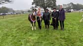 A horse champion at a soggy Beulah Show