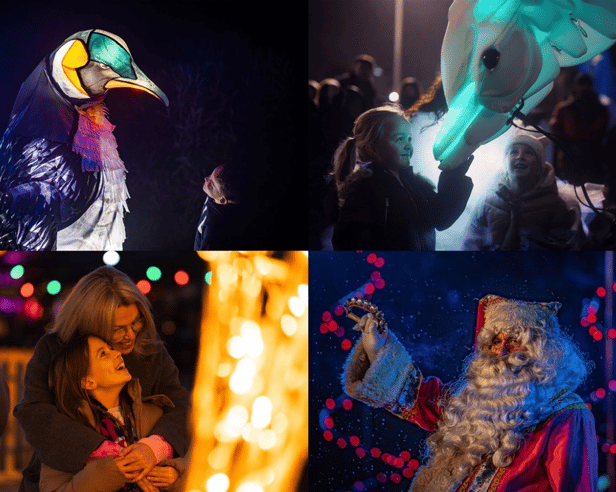Old favourites and new installations to light up the night at Chester Zoo’s Christmas light trail