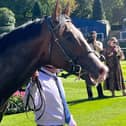 Gavriel after winning at Ascot