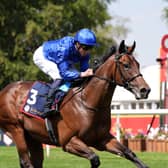 Inner City Blues winning the July Stakes