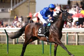 Talk Of New York won impressively at Newmarket