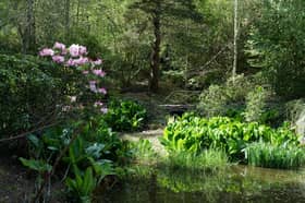 Powys has few autumn openings with the final garden open on October 10 and 11 from 9am until 5pm at Dingle Nurseries and Garden, Welshpool 