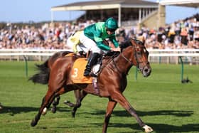 Afternoon Racing – Newmarket Racecourse – Saturday September 26th