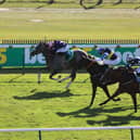 Afternoon Racing – Newmarket Racecourse – Saturday September 26th