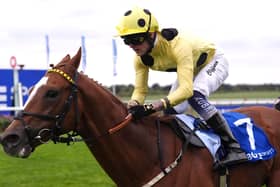 Zeus Olympios will head to Ascot on Champions Day