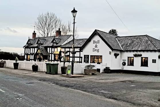 The Bull & Dog