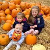 Apley farm shop is gearing up for Halloween.