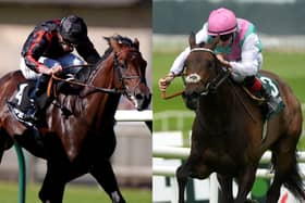 Maltese Cross (left) and Kalpana are gunning for Arc glory