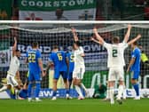 Northern Ireland players celebrate