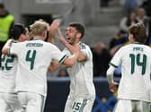 Northern Ireland players celebrate