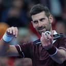 Novak Djokovic celebrates