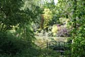 The final dated National Garden Scheme opening in Powys of 2026 will be held on Saturday, October 10 and Sunday, October 11 October, from 9am until 5pm, at Dingle Nurseries and Garden, Welshpool