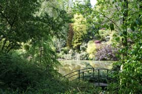 The final dated National Garden Scheme opening in Powys of 2026 will be held on Saturday, October 10 and Sunday, October 11 October, from 9am until 5pm, at Dingle Nurseries and Garden, Welshpool