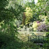 The final dated National Garden Scheme opening in Powys of 2026 will be held on Saturday, October 10 and Sunday, October 11 October, from 9am until 5pm, at Dingle Nurseries and Garden, Welshpool