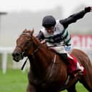 Zavateri got back to winning ways at Goodwood