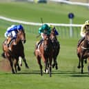 Burning Up (right) could run at Doncaster later this month