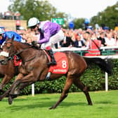 Forbidden Fire will tackle Group One company on Friday