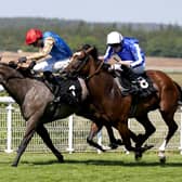 Flora Of Bermuda has her swansong at Newmarket