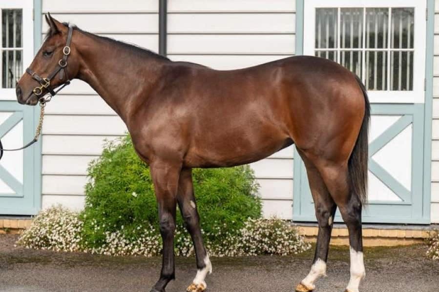 Balding and Flay cook up a storm at Tattersalls