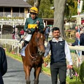 Cut A Dash after winning at York