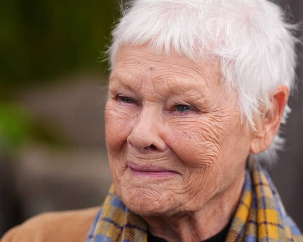 Dame Judi Dench close-up