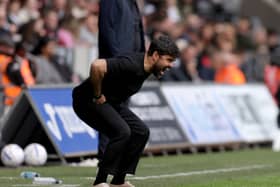 Swansea manager Vitor Matos shouts during the win over Norwich