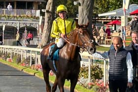 Royal Authority after winning at York