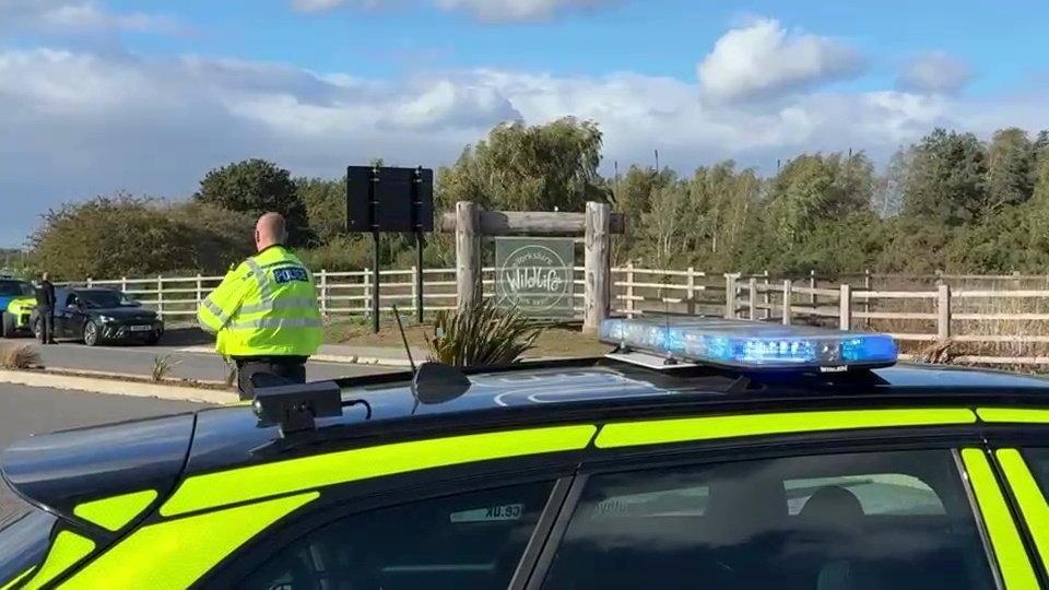 Mann stirbt nach Betreten des Tigergeheges in einer großen britischen ...