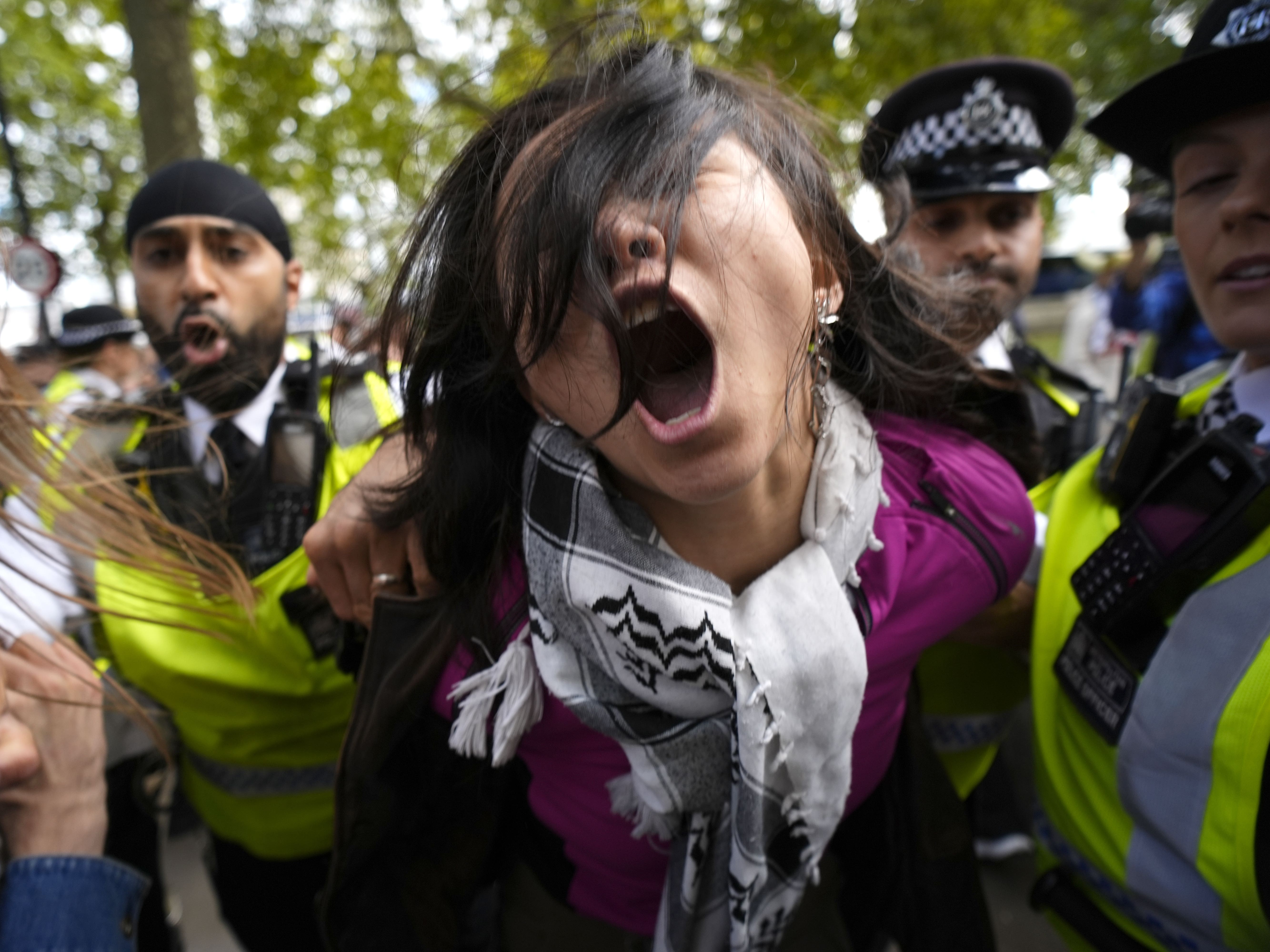 Palestinian Farming Several arrests made as thousands descend on London for pro-Palestine ...