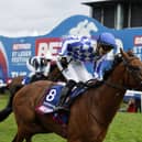 Highwayman and Saffie Osborne winning the St Leger