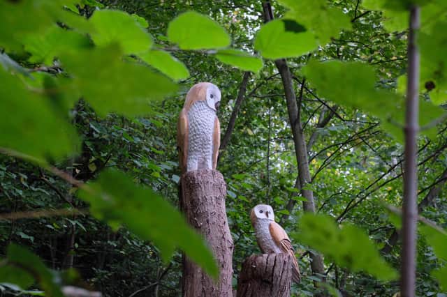 Some of the wildlife sculptures hidden along Hay's riverside walk