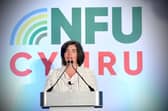 The event will begin with an opening speech from NFU Cymru President Abi Reader