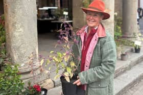Christine Link, who is one-half of Gobblett Nursery near Cleobury Mortimer with her husband Gordon Link