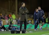 Wolves boss Cesar Peixoto
