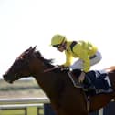 Almaqam is bidding for one last hurrah at Ascot