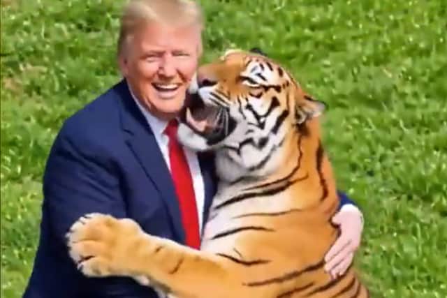President Donald Trump shared an AI video depicting him playing with the a tiger in the wake of the tragedy